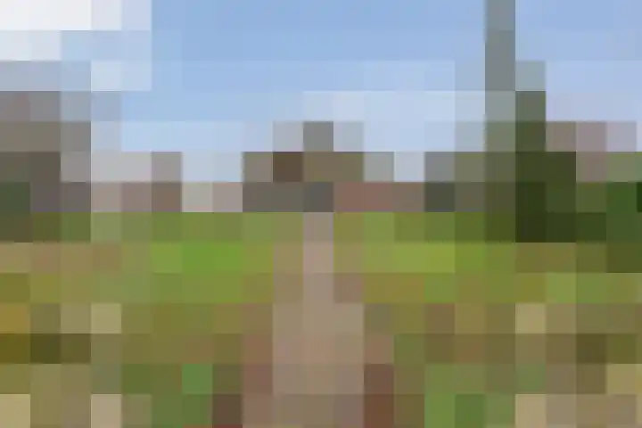 Kolderveen 78 A Nijeveen thumbnail 30