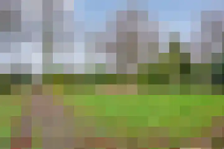 Kolderveen 78 A Nijeveen thumbnail 32