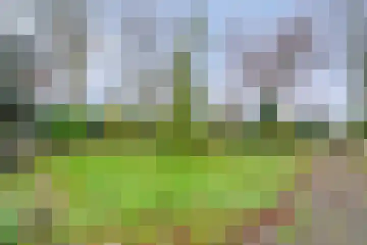Kolderveen 78 A Nijeveen thumbnail 33