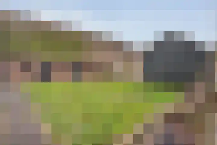 Kolderveen 78 A Nijeveen thumbnail 36