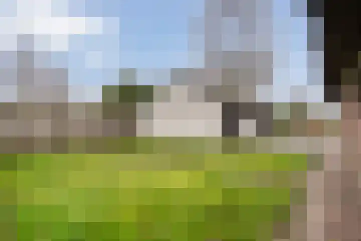 Kolderveen 78 A Nijeveen thumbnail 37