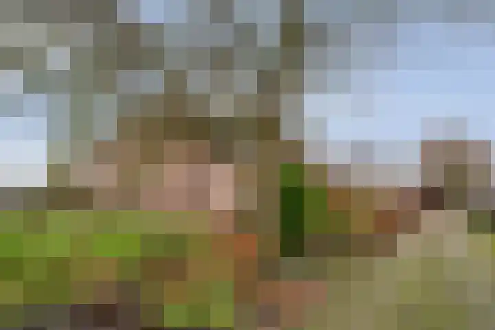 Kolderveen 78 A Nijeveen thumbnail 38