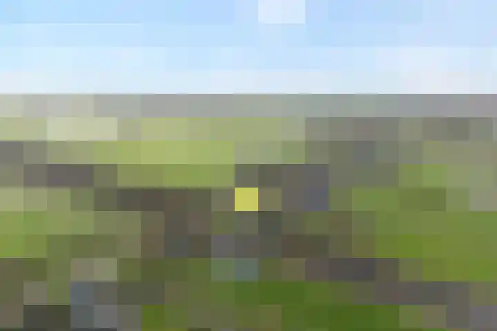 Kolderveen 78 A Nijeveen thumbnail 4