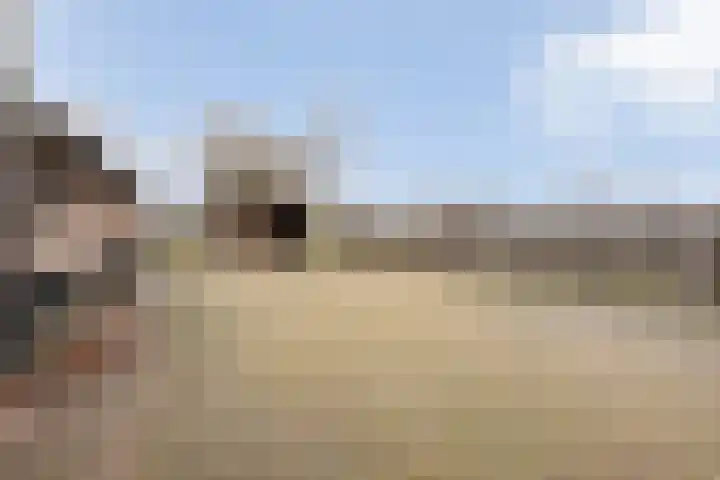 Kolderveen 78 A Nijeveen thumbnail 42