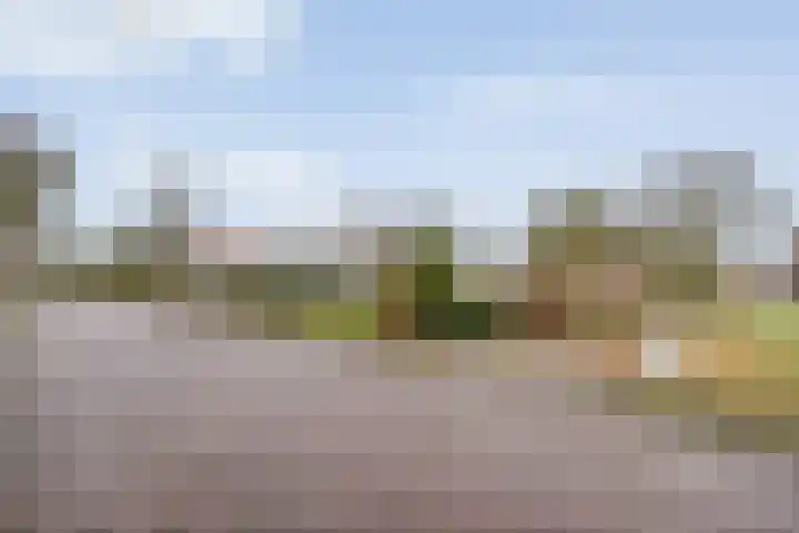 Kolderveen 78 A Nijeveen thumbnail 44