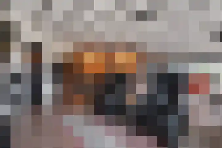 Kolderveen 78 A Nijeveen thumbnail 8
