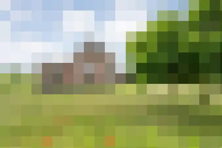 Kolderveense Bovenboer 25 Nijeveen thumbnail 10
