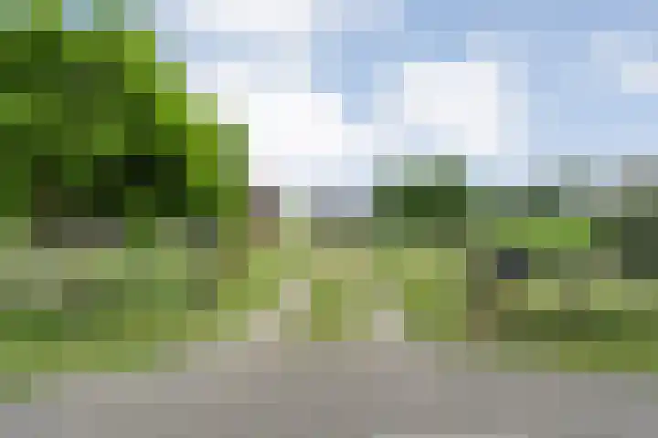 Kolderveense Bovenboer 25 Nijeveen thumbnail 11