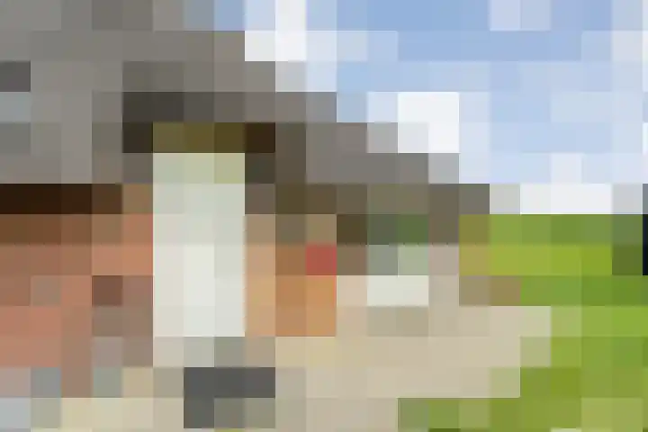 Kolderveense Bovenboer 25 Nijeveen thumbnail 12