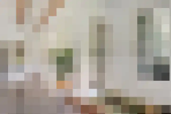 Kolderveense Bovenboer 25 Nijeveen thumbnail 13