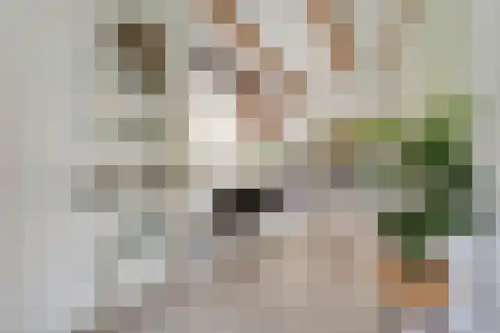 Kolderveense Bovenboer 25 Nijeveen thumbnail 14