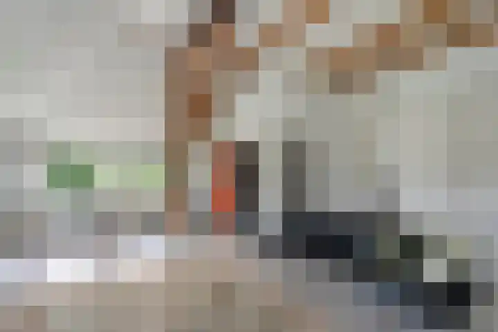 Kolderveense Bovenboer 25 Nijeveen thumbnail 15
