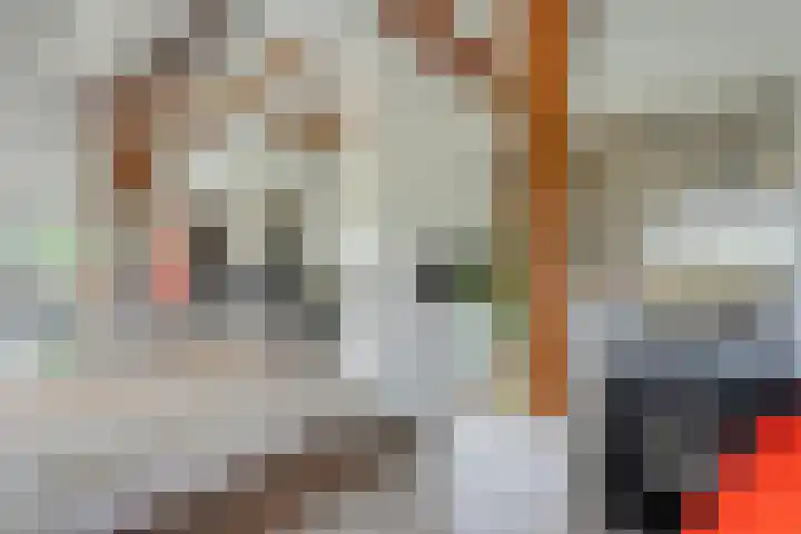 Kolderveense Bovenboer 25 Nijeveen thumbnail 18