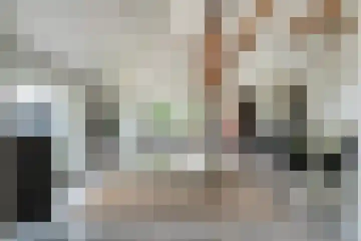Kolderveense Bovenboer 25 Nijeveen thumbnail 19