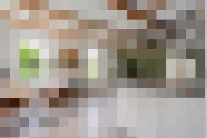Kolderveense Bovenboer 25 Nijeveen thumbnail 20