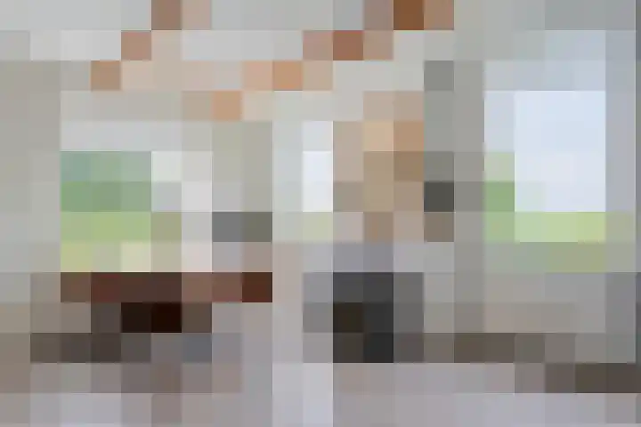 Kolderveense Bovenboer 25 Nijeveen thumbnail 21