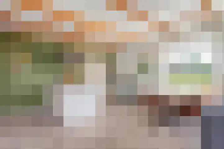Kolderveense Bovenboer 25 Nijeveen thumbnail 22