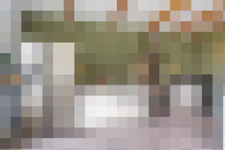 Kolderveense Bovenboer 25 Nijeveen thumbnail 23