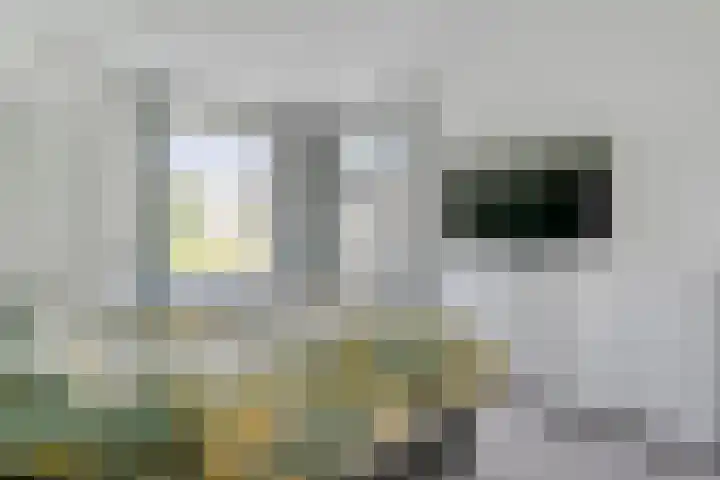 Kolderveense Bovenboer 25 Nijeveen thumbnail 24