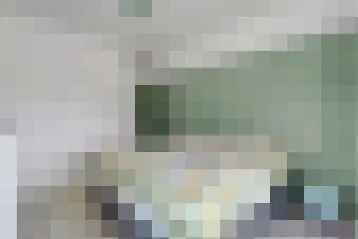 Kolderveense Bovenboer 25 Nijeveen thumbnail 25