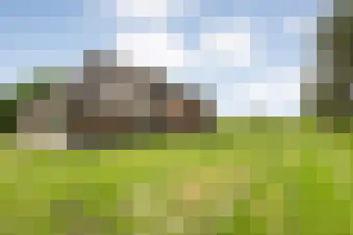 Kolderveense Bovenboer 25 Nijeveen thumbnail 35