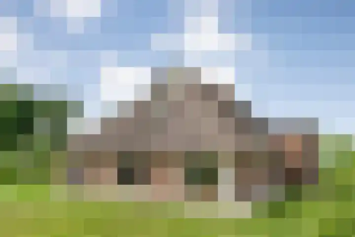 Kolderveense Bovenboer 25 Nijeveen thumbnail 36