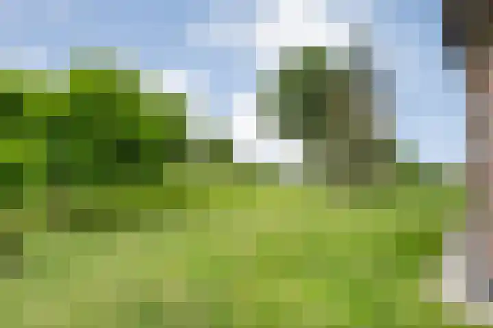 Kolderveense Bovenboer 25 Nijeveen thumbnail 37