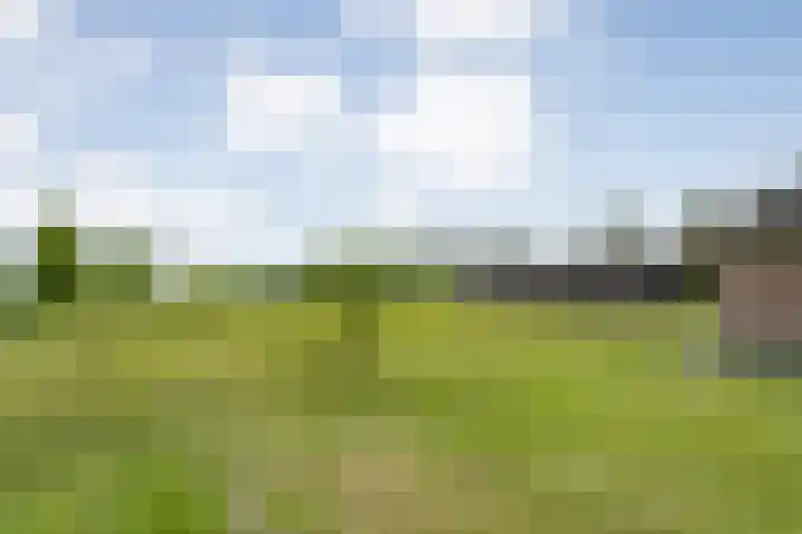 Kolderveense Bovenboer 25 Nijeveen thumbnail 38