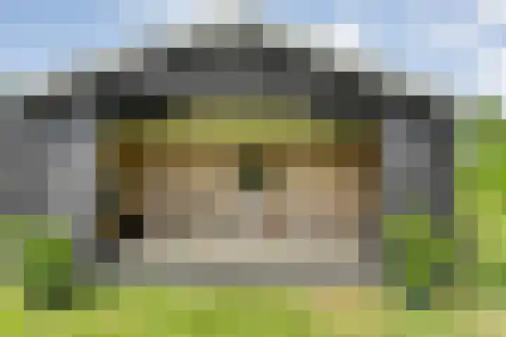 Kolderveense Bovenboer 25 Nijeveen thumbnail 39