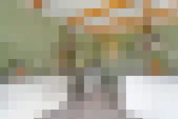 Kolderveense Bovenboer 25 Nijeveen thumbnail 4