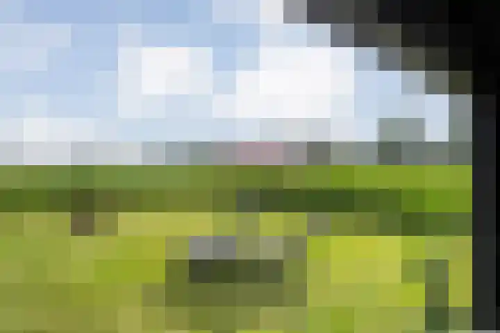 Kolderveense Bovenboer 25 Nijeveen thumbnail 40