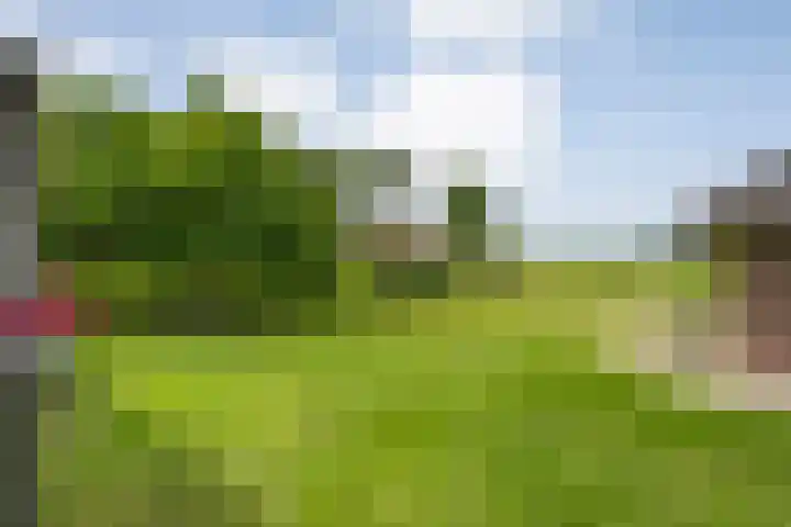 Kolderveense Bovenboer 25 Nijeveen thumbnail 41