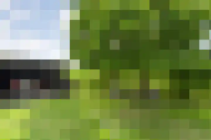 Kolderveense Bovenboer 25 Nijeveen thumbnail 42