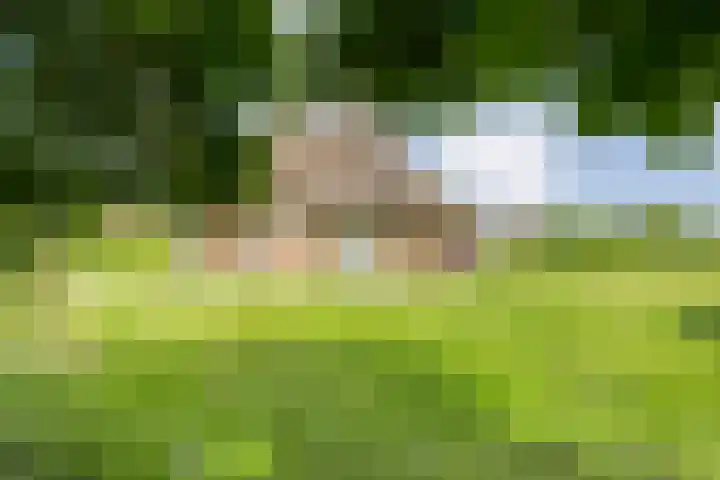 Kolderveense Bovenboer 25 Nijeveen thumbnail 5