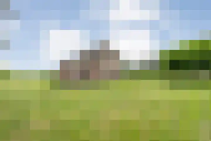 Kolderveense Bovenboer 25 Nijeveen thumbnail 9
