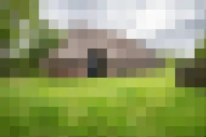Kolderveense Bovenboer 36 Nijeveen thumbnail 12