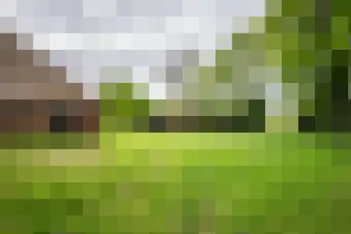 Kolderveense Bovenboer 36 Nijeveen thumbnail 19