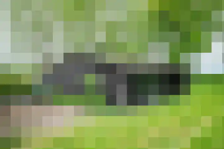 Kolderveense Bovenboer 36 Nijeveen thumbnail 20