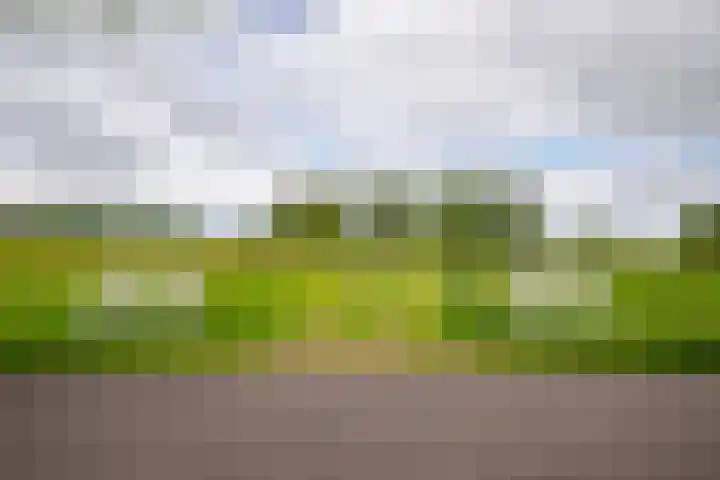 Kolderveense Bovenboer 36 Nijeveen thumbnail 23