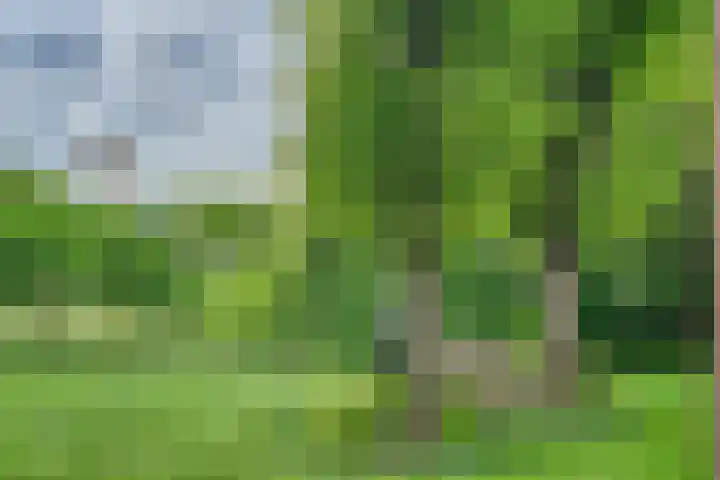 Kolderveense Bovenboer 36 Nijeveen thumbnail 25