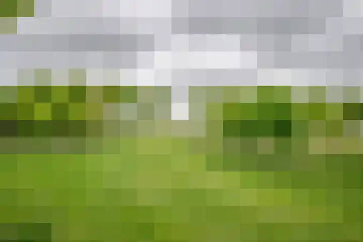 Kolderveense Bovenboer 36 Nijeveen thumbnail 26