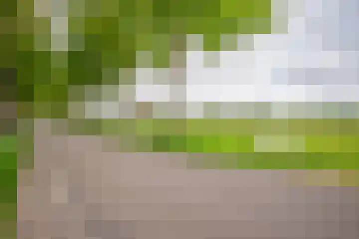 Kolderveense Bovenboer 36 Nijeveen thumbnail 27