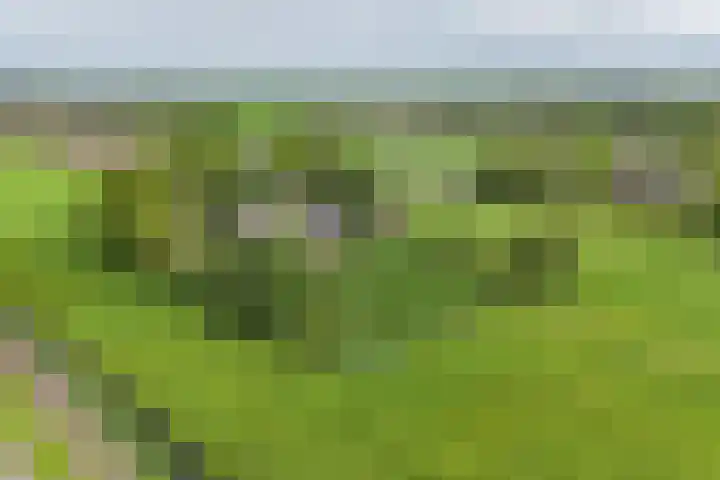 Kolderveense Bovenboer 36 Nijeveen thumbnail 29