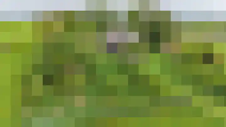Kolderveense Bovenboer 36 Nijeveen thumbnail 35