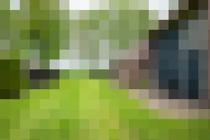 Kolderveense Bovenboer 36 Nijeveen thumbnail 4