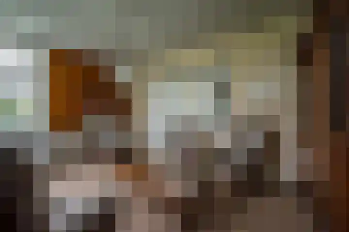 Kolderveense Bovenboer 36 Nijeveen thumbnail 6