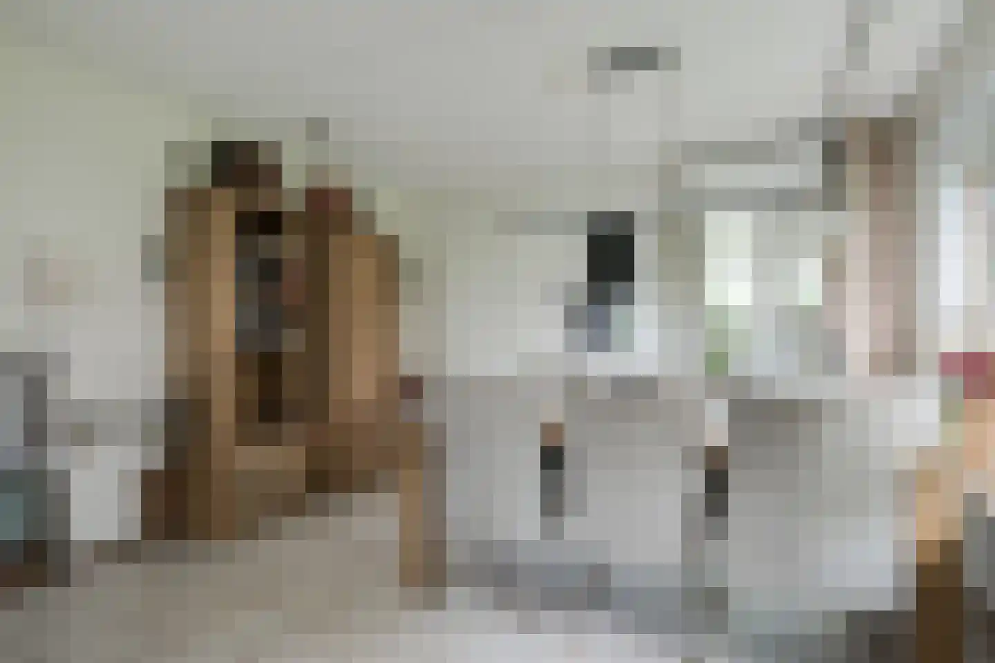 Koldeweiweg 14 Keijenborg thumbnail 11