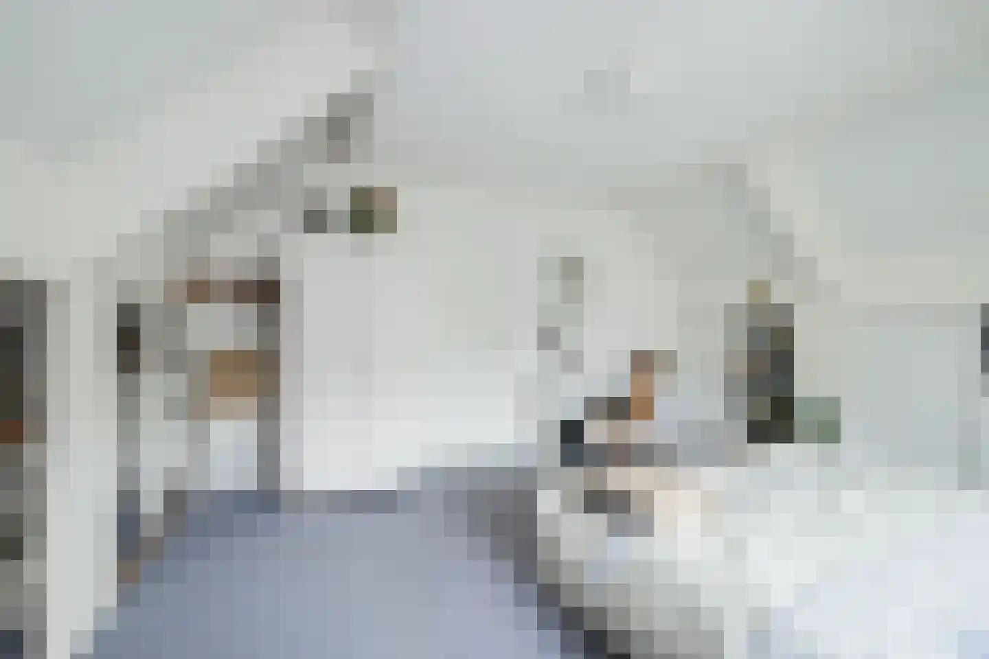 Koldeweiweg 14 Keijenborg thumbnail 24