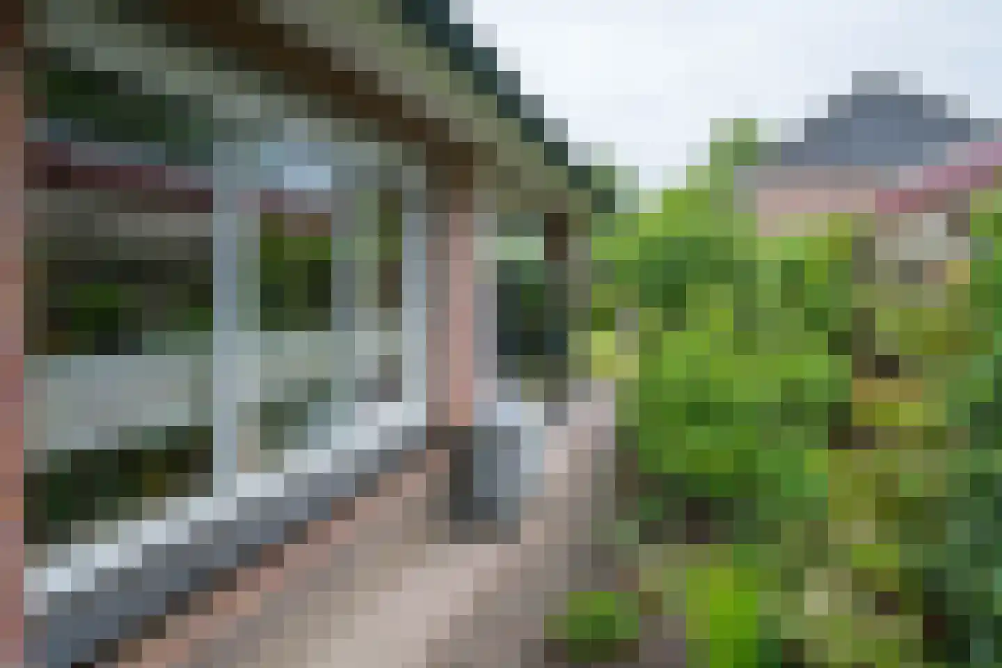 Koldeweiweg 14 Keijenborg thumbnail 33