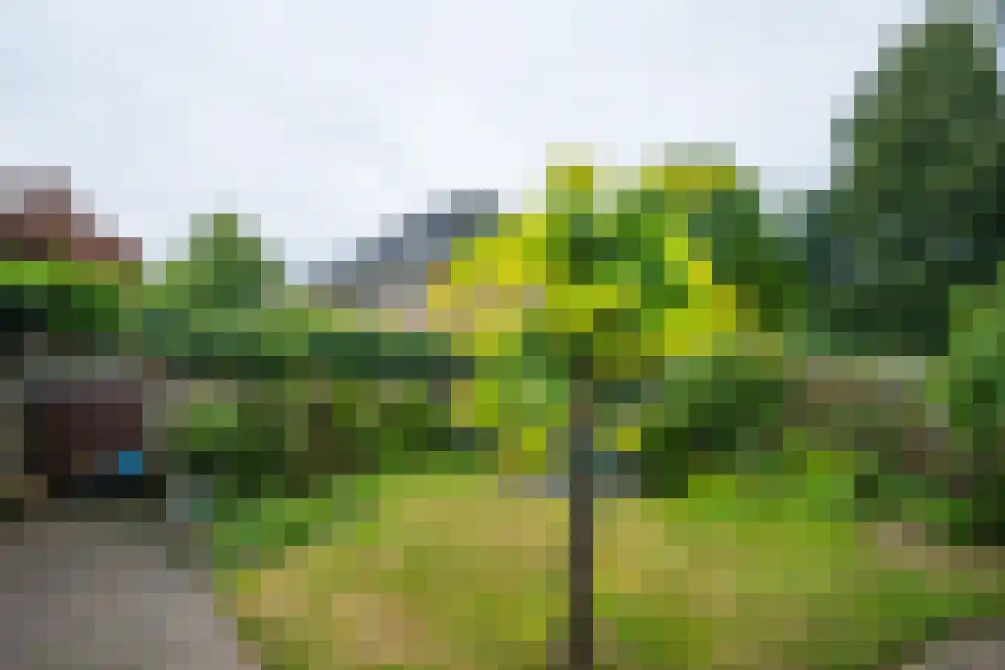 Koldeweiweg 14 Keijenborg thumbnail 36